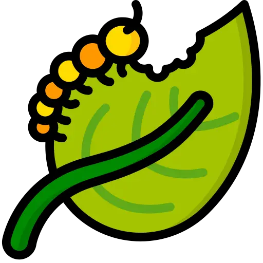 Диагностика вредителей растений