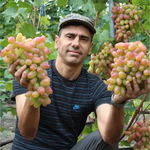 Логотип Давид Алверцян