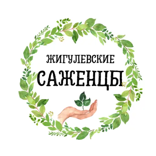 Логотип Жигулевские саженцы