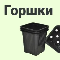 Горшки для рассады