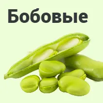 Семена бобовые
