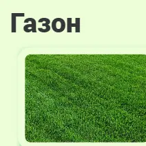 Семена газона