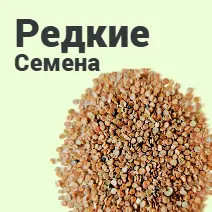 Семена редкие