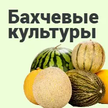 Бахчевые культуры