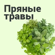 Семена пряных трав, салатов