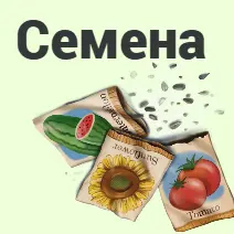 Семена