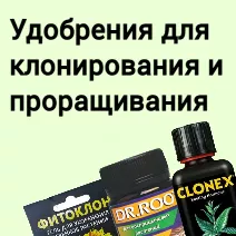 Клонирование и проращивание