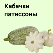 Семена кабачков, патиссонов