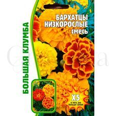 Бархатцы Низкорослые Смесь 100 шт РЕДКИЕ СЕМЕНА