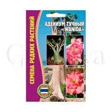 Адениум тучный Wanida 3 шт РЕДКИЕ СЕМЕНА