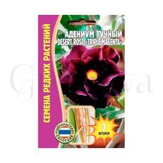 Адениум тучный Desert rose Triple Magenta 3 шт РЕДКИЕ СЕМЕНА