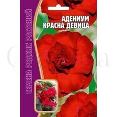 Адениум Красна Девица 3 шт РЕДКИЕ СЕМЕНА