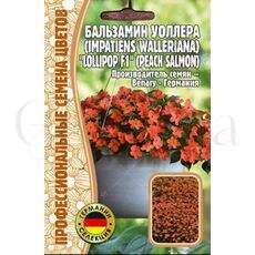 Бальзамин Уоллера Lollipop F1 Peach Salmon 5 шт РЕДКИЕ СЕМЕНА