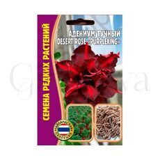 Адениум Тучный Desert rose  PURPLEKING  3 шт РЕДКИЕ СЕМЕНА