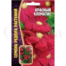 Клематис Красный 3 шт РЕДКИЕ СЕМЕНА