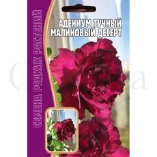 Адениум Малиновый десерт 3 шт РЕДКИЕ СЕМЕНА