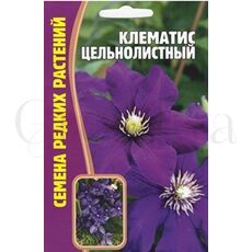 Клематис Цельнолистный 5 шт РЕДКИЕ СЕМЕНА