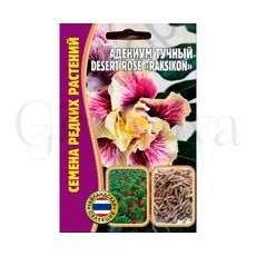 Адениум Тучный Desert rose  RAKSIKON  3 шт РЕДКИЕ СЕМЕНА