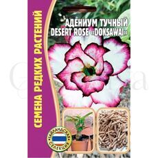 Адениум тучный Desert rose  Doksawal 3 шт РЕДКИЕ СЕМЕНА