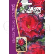 Адениум Черная птица 3 шт РЕДКИЕ СЕМЕНА