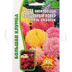 Астра низкорослая Волшебный ковер смесь окрасок  100 шт РЕДКИЕ СЕМЕНА