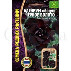 Адениум Черное Болото 3 шт РЕДКИЕ СЕМЕНА