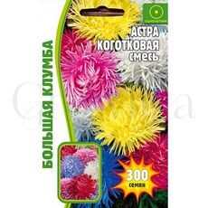 Астра Коготковая смесь 200 шт РЕДКИЕ СЕМЕНА