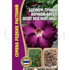 Адениум Тучный Ночной ангел 3 шт РЕДКИЕ СЕМЕНА