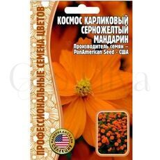 Космос Мандарин карликовый серножелтый 5 шт РЕДКИЕ СЕМЕНА