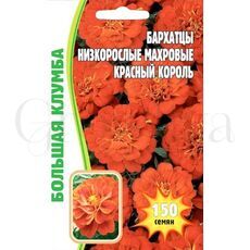 Бархатцы Красный Король низкорослые махровые 150 шт РЕДКИЕ СЕМЕНА