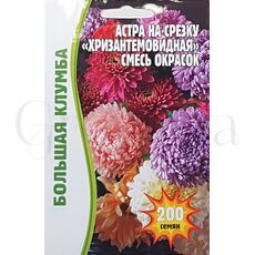 Астра Хризантемовидная смесь на срезку 150 шт РЕДКИЕ СЕМЕНА
