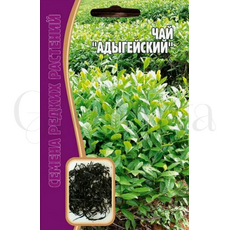 Чай Адыгейский 3 шт РЕДКИЕ СЕМЕНА