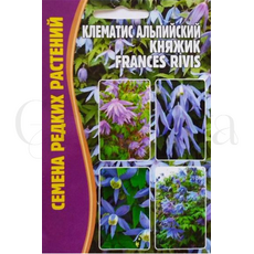 Клематис альпийский Княжик  Frances Rivis  3 шт РЕДКИЕ СЕМЕНА