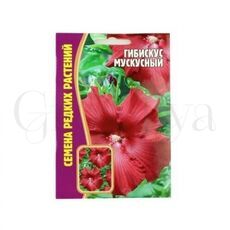 Гибискус Мускусный 5 шт РЕДКИЕ СЕМЕНА