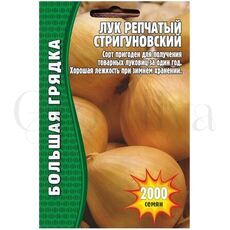 Лук репчатый Стригуновский 1000 шт РЕДКИЕ СЕМЕНА