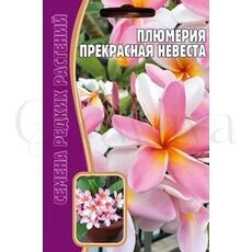 Плюмерия Прекрасная Невеста 3 шт РЕДКИЕ СЕМЕНА