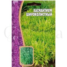 Хасмантиум Широколистный 25 шт РЕДКИЕ СЕМЕНА