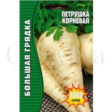 Петрушка корневая  3500 шт РЕДКИЕ СЕМЕНА