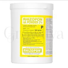 Ризопон Rhizopon AA 2% Корнеообразователь 100 г