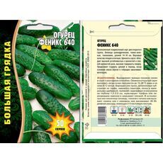 Огурец Феникс Плюс 50 шт РЕДКИЕ СЕМЕНА