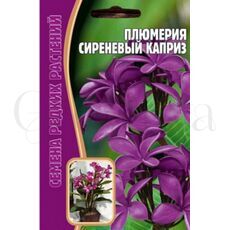 Плюмерия Сиреневый Каприз 3 шт РЕДКИЕ СЕМЕНА