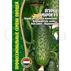 Огурец Амарок F1  7 шт РЕДКИЕ СЕМЕНА