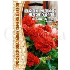 Пеларгония грандифлора Маверик Скарлет F1 3 шт РЕДКИЕ СЕМЕНА