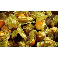 Физалис Земляничка Земляничный аромат 30 шт РЕДКИЕ СЕМЕНА