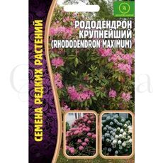 Рододендрон крупнейший РЕДКИЕ СЕМЕНА