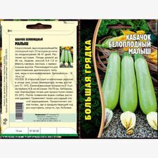 Кабачок белоплодный Малыш 15 шт РЕДКИЕ СЕМЕНА