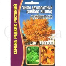 Гинкго двулопастный 3 шт РЕДКИЕ СЕМЕНА