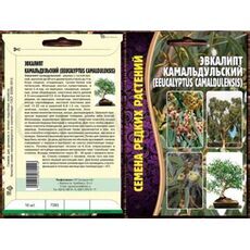 Эвкалипт Камадульский РЕДКИЕ СЕМЕНА