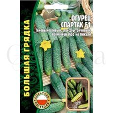 Огурец Спартак F1 (Польша) 50 шт РЕДКИЕ СЕМЕНА
