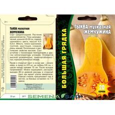 Тыква мускатная Жемчужина 20 шт РЕДКИЕ СЕМЕНА